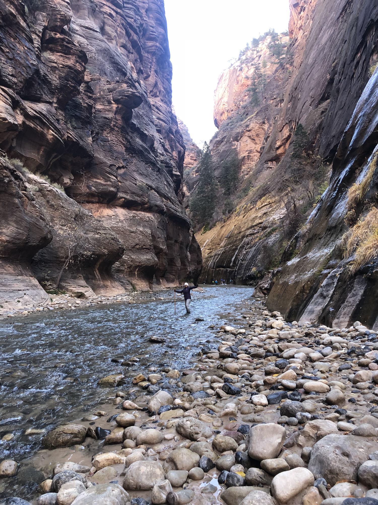 The Narrows: Hike through a river, Utah, USA