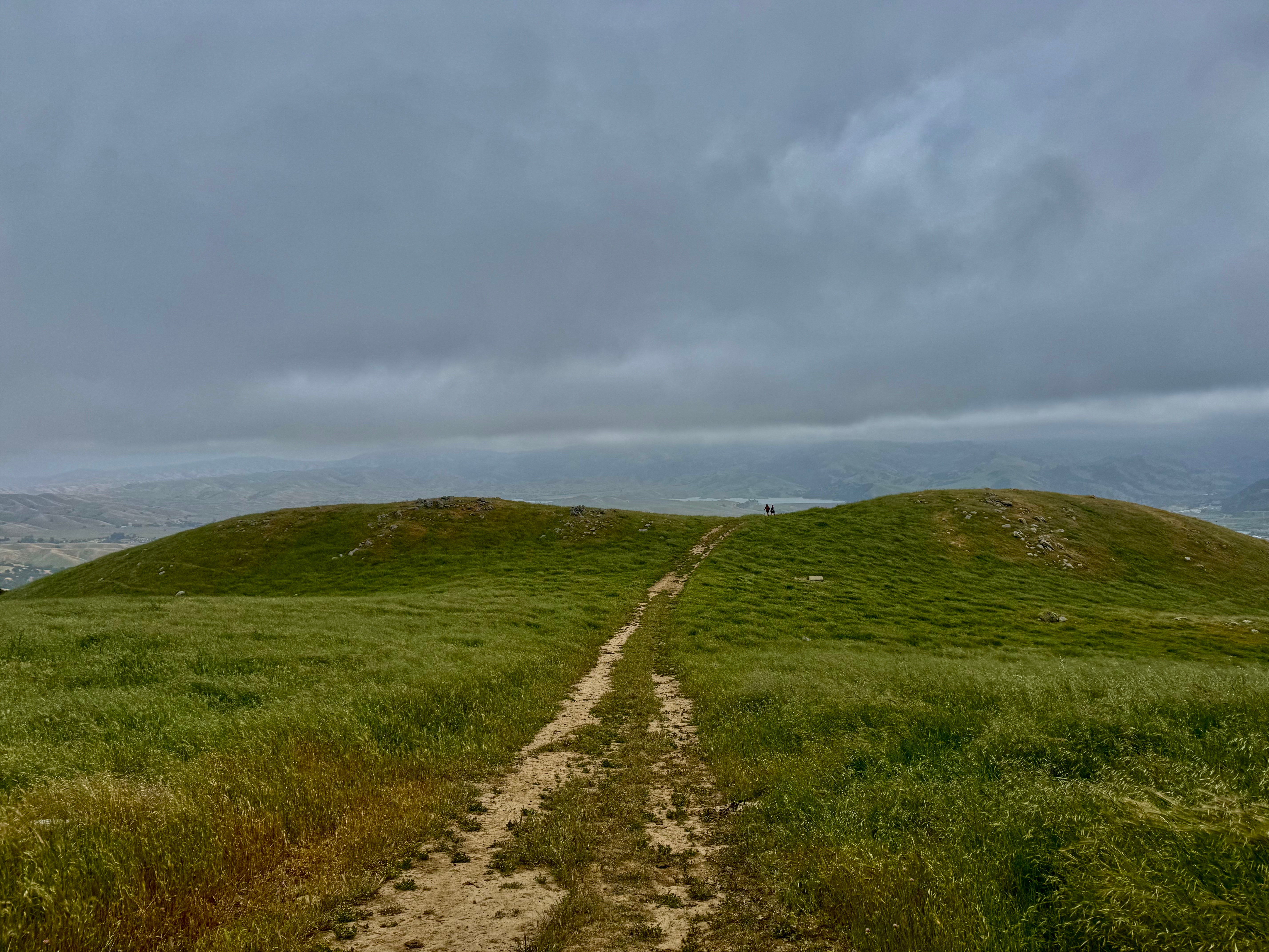 Hike #3: Sunol Ridge Trail, California